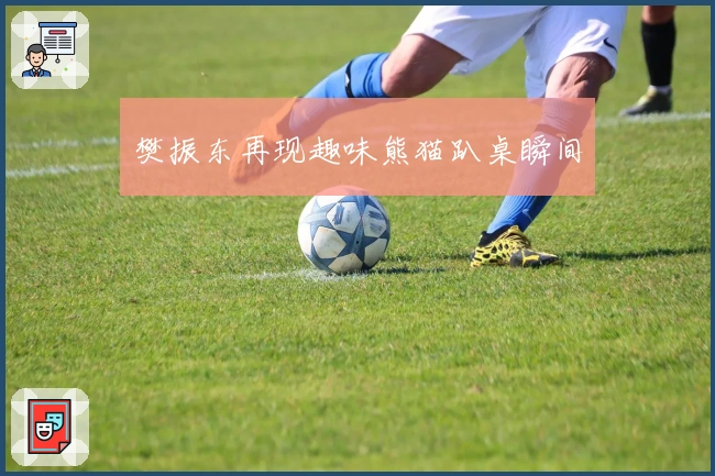 樊振东再现趣味熊猫趴桌瞬间