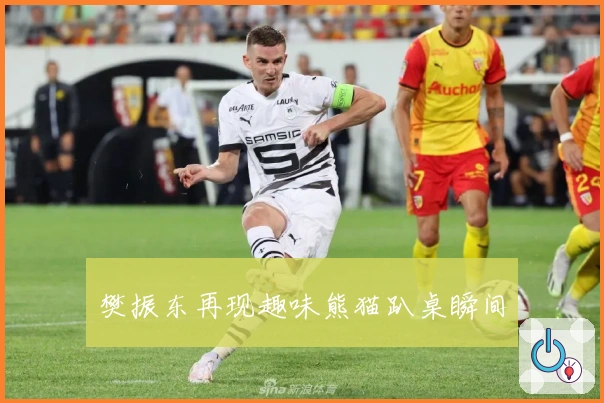 樊振东再现趣味熊猫趴桌瞬间