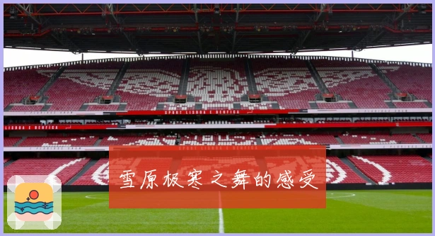 雪原极寒之舞的感受