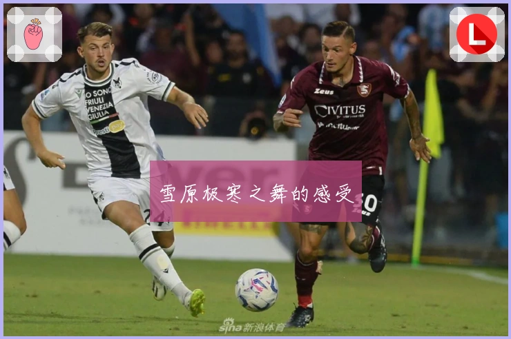 雪原极寒之舞的感受